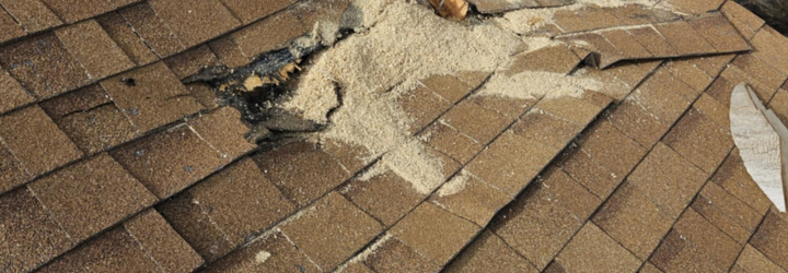 Missing or Damaged Shingles on a roof.