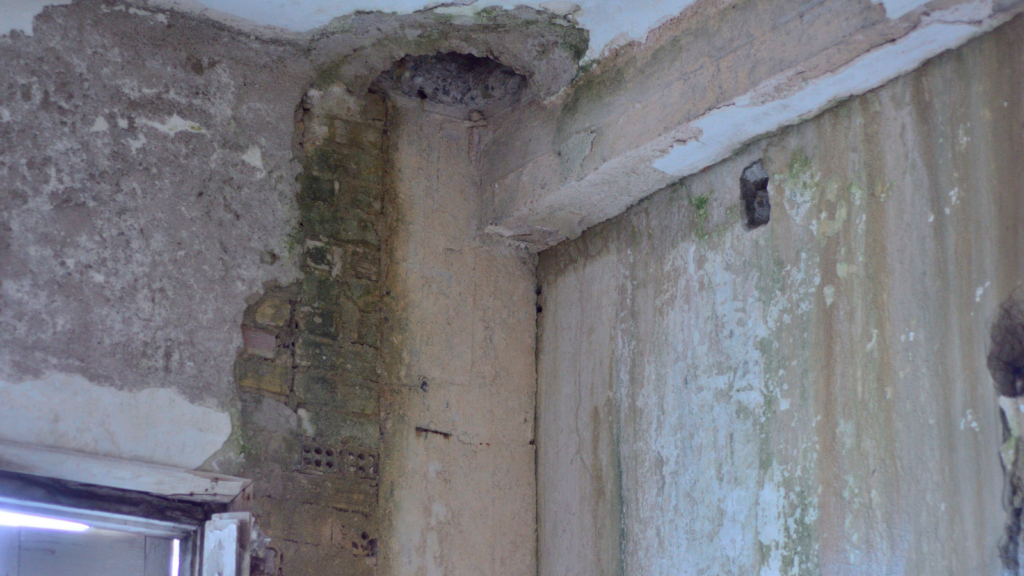 View of Techniques for Mold Remediation • CMS Restoration Blog